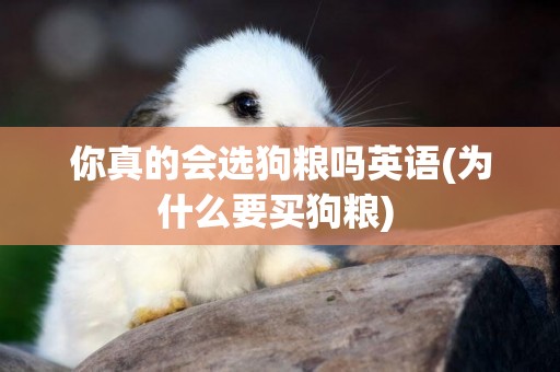 你真的會選狗糧嗎英語(為什么要買狗糧) 