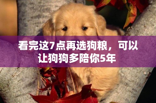 看完這7點再選狗糧，可以讓狗狗多陪你5年 