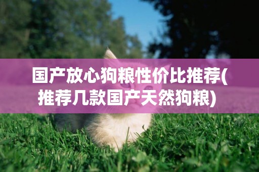 國產放心狗糧性價比推薦(推薦幾款國產天然狗糧) 