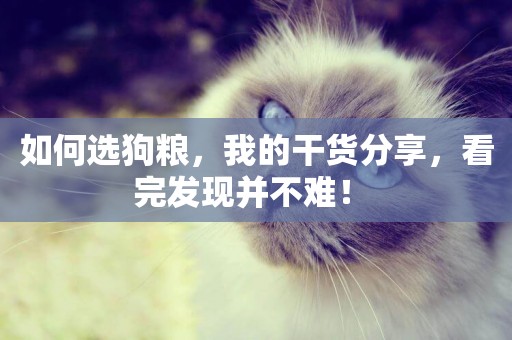 如何選狗糧，我的干貨分享，看完發現并不難！ 