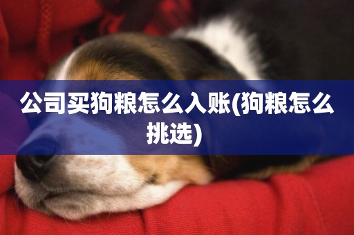公司買狗糧怎么入賬(狗糧怎么挑選) 