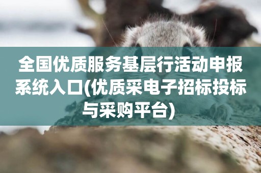全國優質服務基層行活動申報系統入口(優質采電子招標投標與采購平臺) 