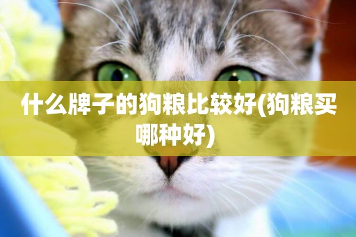什么牌子的狗糧比較好(狗糧買哪種好) 