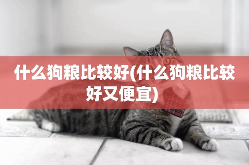什么狗糧比較好(什么狗糧比較好又便宜) 