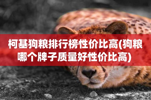 柯基狗糧排行榜性價比高(狗糧哪個牌子質量好性價比高) 