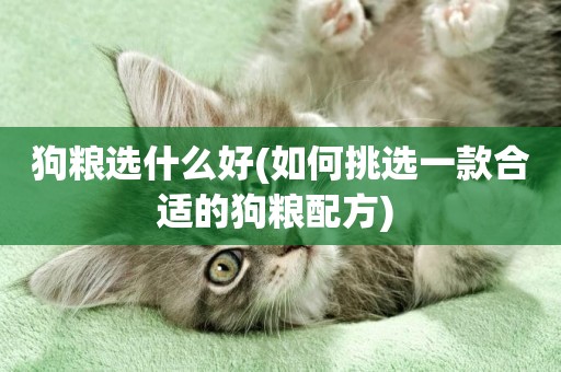 狗糧選什么好(如何挑選一款合適的狗糧配方) 
