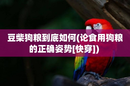 豆柴狗糧到底如何(論食用狗糧的正確姿勢[快穿]) 