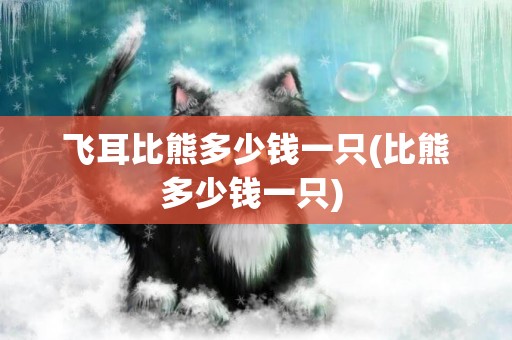 飛耳比熊多少錢一只(比熊多少錢一只) 