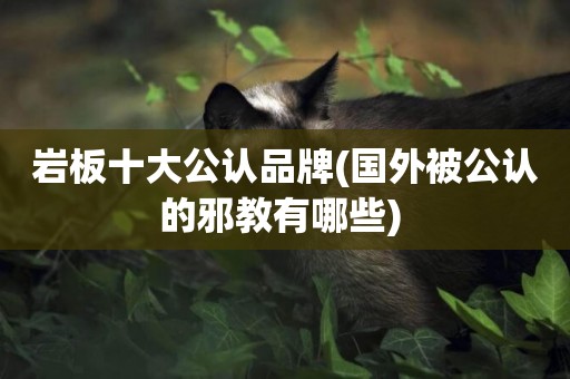 巖板十大公認品牌(國外被公認的邪教有哪些) 