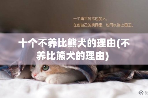 十個不養比熊犬的理由(不養比熊犬的理由) 
