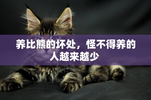 養比熊的壞處，怪不得養的人越來越少 