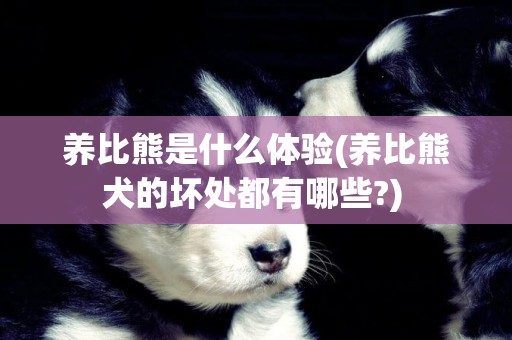 養比熊是什么體驗(養比熊犬的壞處都有哪些?) 