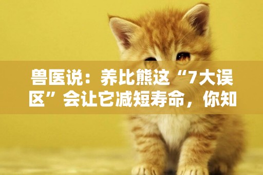 獸醫說：養比熊這“7大誤區”會讓它減短壽命，你知道嗎？ 