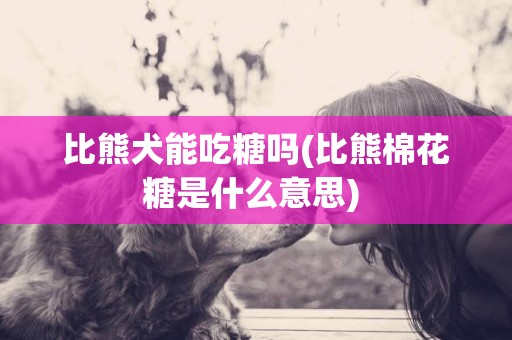 比熊犬能吃糖嗎(比熊棉花糖是什么意思) 