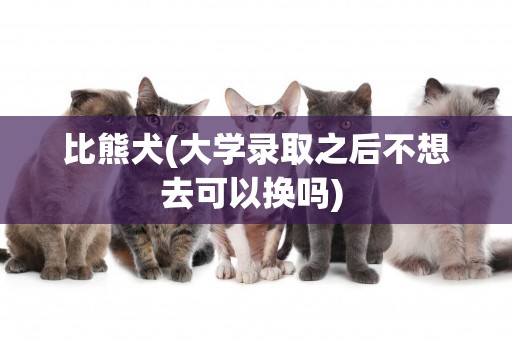 比熊犬(大學錄取之后不想去可以換嗎) 