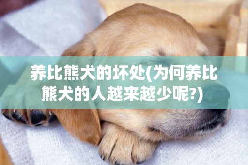養比熊犬的壞處(為何養比熊犬的人越來越少呢?) 