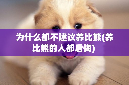 為什么都不建議養比熊(養比熊的人都后悔) 