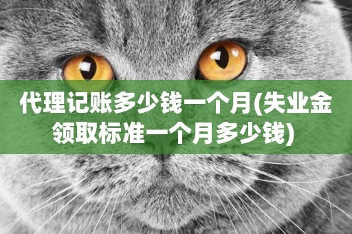 代理記賬多少錢一個月(失業金領取標準一個月多少錢) 