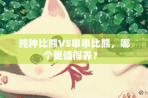 純種比熊VS串串比熊，哪個更值得養？ 