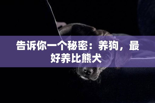 告訴你一個秘密：養狗，最好養比熊犬 