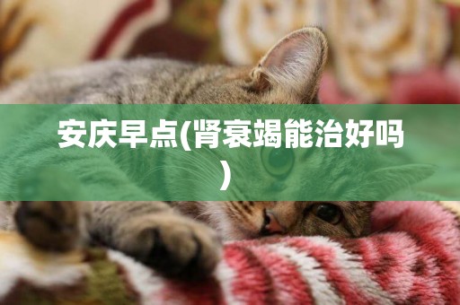 安慶早點(腎衰竭能治好嗎) 