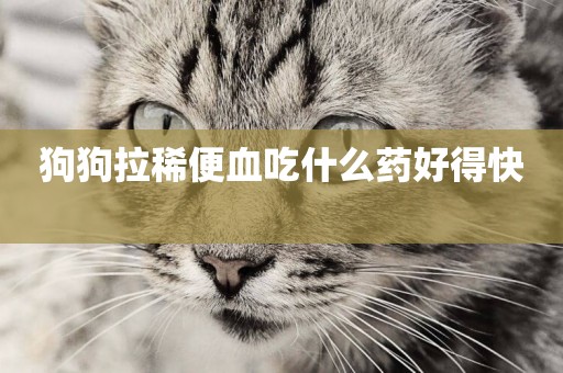 狗狗拉稀便血吃什么藥好得快 