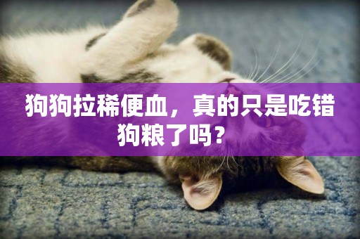 狗狗拉稀便血，真的只是吃錯狗糧了嗎？ 