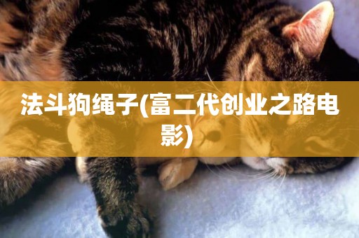法斗狗繩子(富二代創業之路電影) 