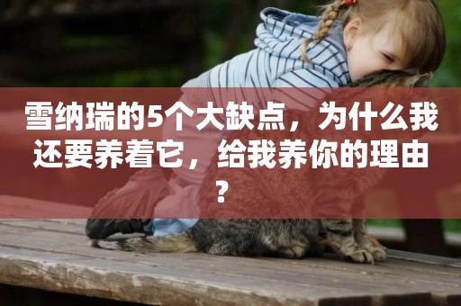 雪納瑞的5個大缺點，為什么我還要養著它，給我養你的理由？ 