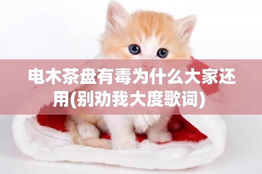 電木茶盤有毒為什么大家還用(別勸我大度歌詞) 