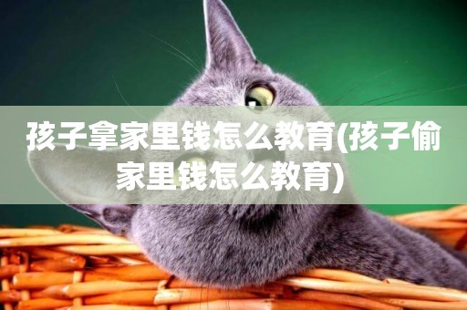 孩子拿家里錢怎么教育(孩子偷家里錢怎么教育) 