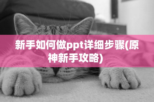 新手如何做ppt詳細步驟(原神新手攻略) 