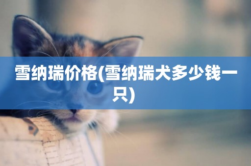 雪納瑞價格(雪納瑞犬多少錢一只) 