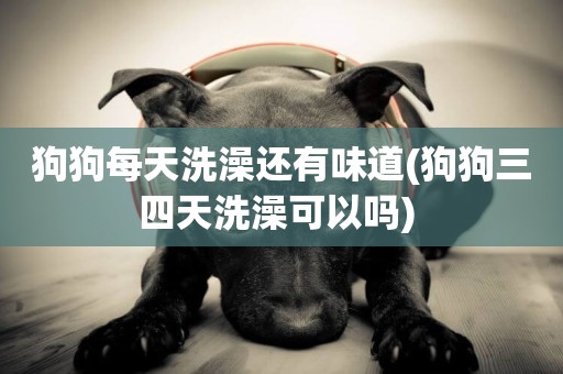 狗狗每天洗澡還有味道(狗狗三四天洗澡可以嗎) 