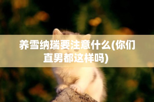 養雪納瑞要注意什么(你們直男都這樣嗎) 