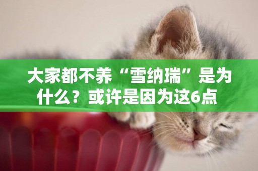 大家都不養“雪納瑞”是為什么？或許是因為這6點 