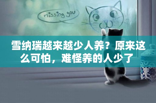 雪納瑞越來越少人養？原來這么可怕，難怪養的人少了 