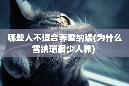 哪些人不適合養雪納瑞(為什么雪納瑞很少人養) 