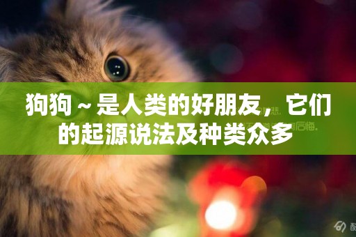 狗狗～是人類的好朋友，它們的起源說法及種類眾多 