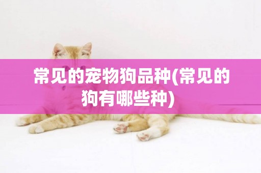 常見的寵物狗品種(常見的狗有哪些種) 