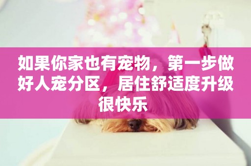 如果你家也有寵物，第一步做好人寵分區，居住舒適度升級很快樂 
