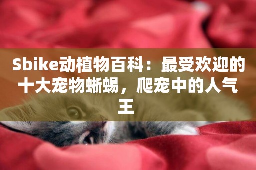 Sbike動植物百科：最受歡迎的十大寵物蜥蜴，爬寵中的人氣王 