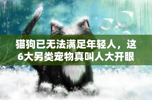 貓狗已無法滿足年輕人，這6大另類寵物真叫人大開眼界 