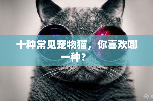 十種常見寵物貓，你喜歡哪一種？ 