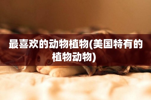 最喜歡的動物植物(美國特有的植物動物) 