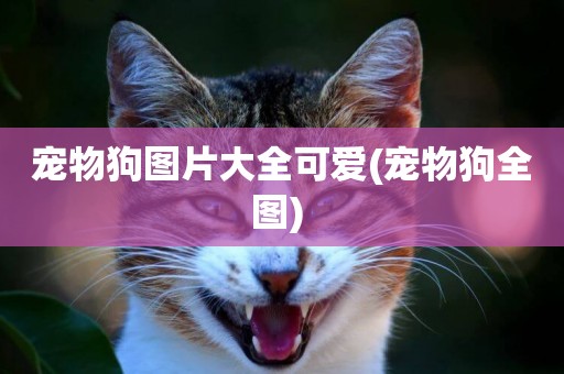 寵物狗圖片大全可愛(寵物狗全圖) 