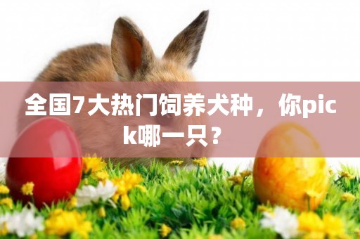 全國7大熱門飼養犬種，你pick哪一只？ 