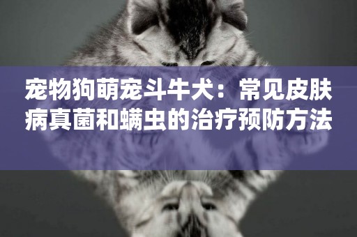 寵物狗萌寵斗牛犬：常見皮膚病真菌和螨蟲的治療預防方法 