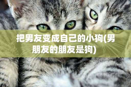 把男友變成自己的小狗(男朋友的朋友是狗) 