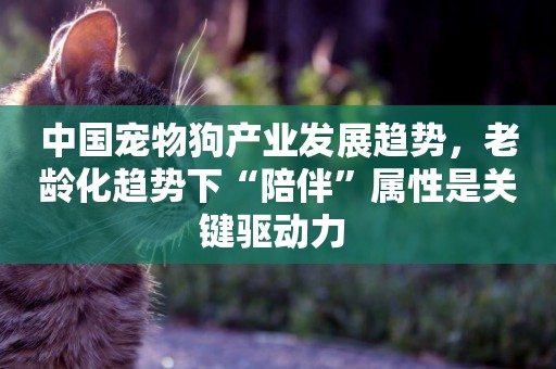 中國寵物狗產業發展趨勢，老齡化趨勢下“陪伴”屬性是關鍵驅動力 